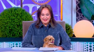 Давай поженимся. Выпуск от 26.03.2026