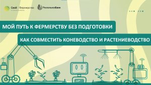 Мой путь к фермерству без подготовки: как совместить коневодство и растениеводство