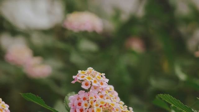 Chillout | ☕✨ Почувствуйте приятную музыку Расслабляющий Чиллаут