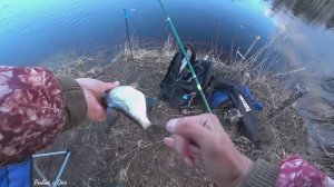 Рыбалка на Простую Донку Весной на Реке! Открытие сезона на донку в Апреле!