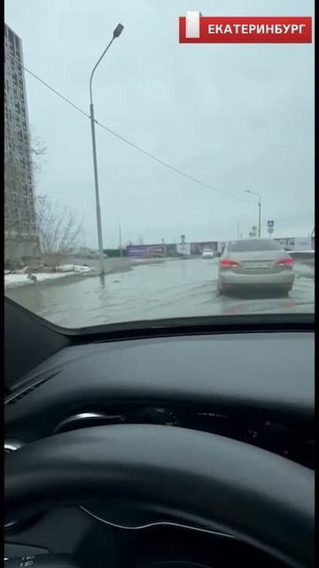 Сплав по улице Крауля смотреть онлайн