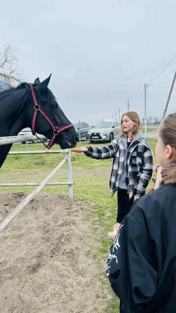 Экскурсия в наш КСК это всегда праздник!