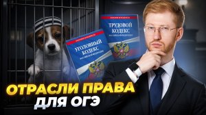 ОТРАСЛИ ПРАВА ОГЭ по обществу: частые темы БЕЗ лишней теории | Умскул