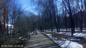 ПРОГУЛКА В СОЛНЕЧНЫЙ ДЕНЬ