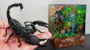 Я создал маленький Тропический лес для своих Скорпионов! 🦂🦂🦂