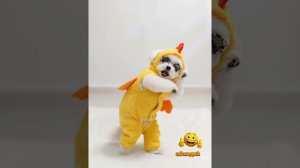 ТОП!/ТРЕНД #тренд #видео #рейтинг #очень #мемы#круто #ии #абаюдна