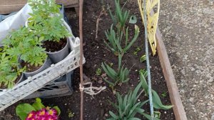 Весна рады теплу