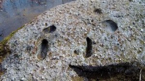 Как оживают камни