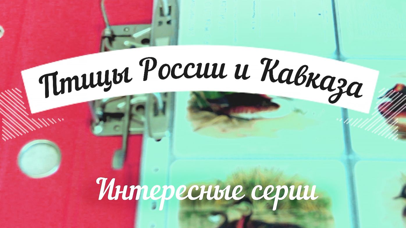 Смотрим вместе: серия карманных календариков Птицы России и Кавказа