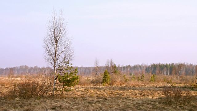 МОЯ ВЕСНА — В ТЕБЕ! (2k_2026)