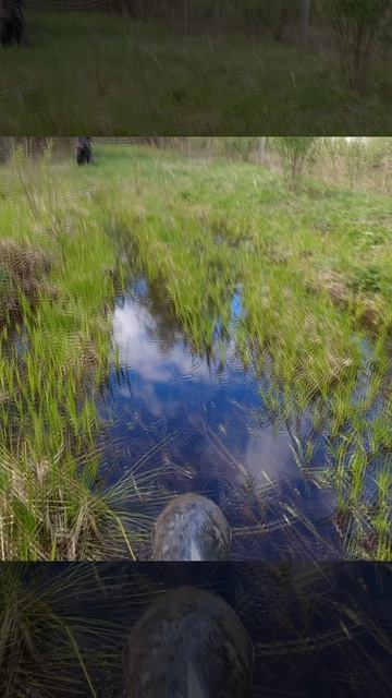 Иж Планета 5 на оффроуде №273в