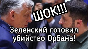 Зеленский готовит покушение на Орбана