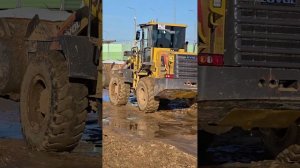 Lovol Fl936H 8000мч впечатления от работы