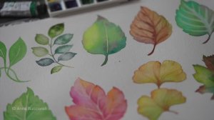 Акварельные листья. Все техники, которые вам когда-либо понадобятся!