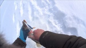 СУДАК ЩУКА ПЛОТВА / Томская обл / / река ОБЬ