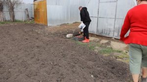 Мама и 13 детей- весенние хлопоты