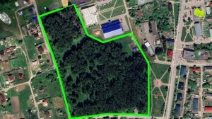 Еще мама моя сажала. Всё это должно остаться лесом. Мы против превращения в парк.