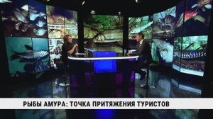 Рыбы Амура: точка притяжения туристов / Денис Коцюк