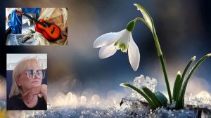 ПОДАРИ МНЕ ПОДСНЕЖНИК. Премьера авторской песни