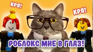 Kotiynet — 3 сезон, 28 серия. | 12+