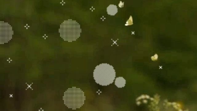 Берёза и Дуб