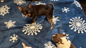 Доброго всем утра и чудесной пятницы.