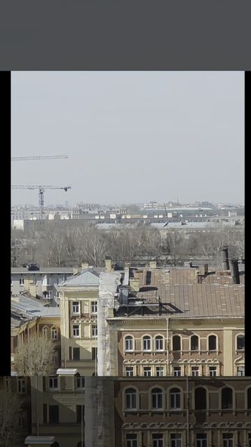 Продается студи в ЖК Большая Охта