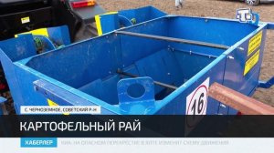 В Советском районе аграрии увеличивают площади под картофель за счёт господдержки