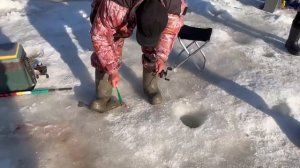 26.03.26 г. РК Волна.