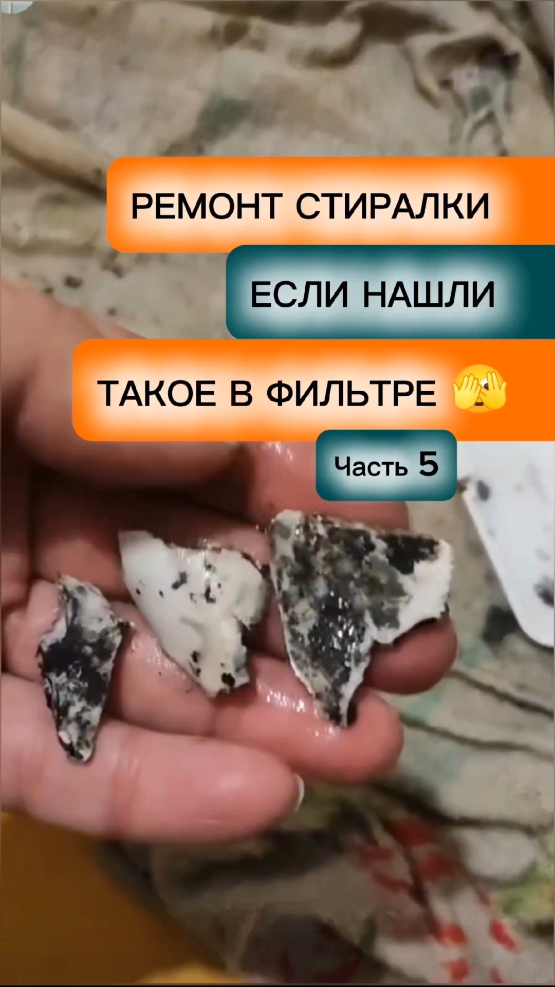 Ремонт стиральной машины LG. Если нашли такое в фильтре, знайте, это очень дорогой ремонт