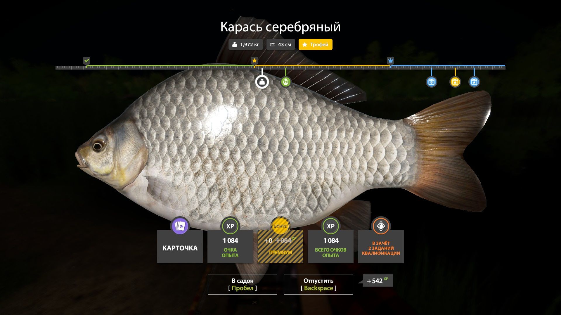 Играем в Russian Fishing 4 ловим рыбку  для души на оз.Медвежье.
