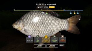 Играем в Russian Fishing 4 ловим рыбку ★ для души ★на оз.Медвежье.