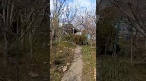 Подготовка сада Универсолиса к весне и лету, МКЦУ Одесса. Алла Сидельникова. МНШУ