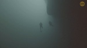 Учёные наконец-то нашли сильного кандидата на звание Планеты 9