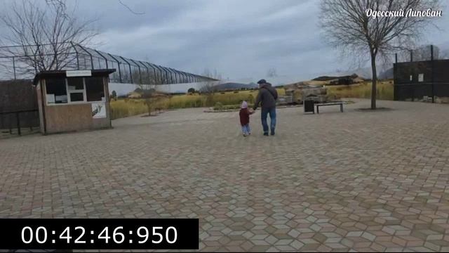 СУПЕР ДЕНЬ В ЖИЗНИ! Повели детей в лучший зоопарк Одессы