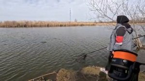 Весна 2026 рыбалка на карпа с кормушкой флэт фидер