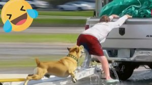 Подборка Мгновенных Сожалений 45 Неудачных Подборок