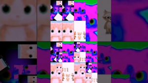 InShot_20260326_162548961.mp4