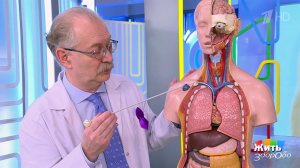 Рак - не приговор, а начало борьбы. Жить здорово! Фрагмент выпуска от 26.03.2026