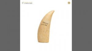 Зуб кашалота (Океания)