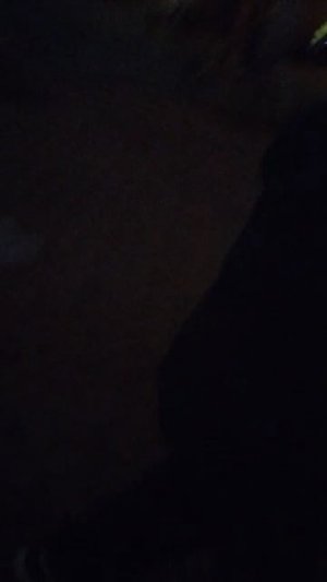 Филипп сосиска