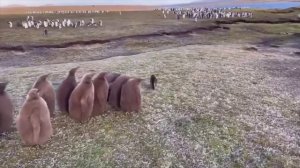 ВСТРЕЧА ЗУМЕРОВ С КОТОМ...