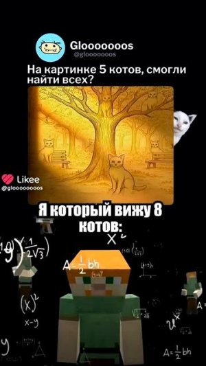 коты