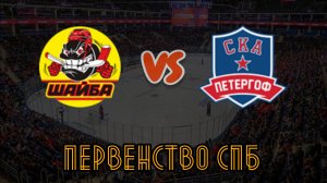 Шайба 13 - СКА Петергоф 13