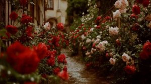 песня Огненная Любовь