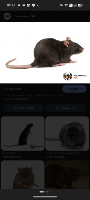 играю в вартандер