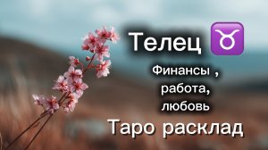 ТЕЛЕЦ‼️23 марта -5 апреля ТАРО расклад 💕три сферы