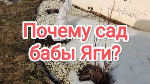 Почему сад бабы Яги?