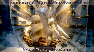 Калининград. Музей Мирового Океана. Выставка Глубина.