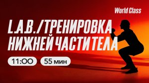 ТРЕНИРОВКА НИЖНЕЙ ЧАСТИ ТЕЛА с Анастасией Михалевой | 28 марта 2026 | Онлайн-тренировки World Class